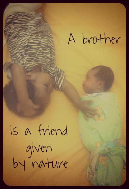 a brother is a friend given by nature